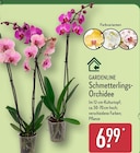 Schmetterlings-Orchidee Angebote von GARDENLINE bei ALDI Nord Hamburg für 6,99 €