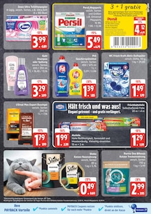 Katzenfutter im aktuellen EDEKA Prospekt (Lübeck) Katzenfutter im EDEKA Prospekt "Top Angebote" mit 31 Seiten (Lübeck)