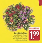 E center Hof Prospekt mit  im Angebot für 1,99 €