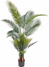 XXL-Kunstpflanze Palme im Angebot bei ROLLER in Rüsselsheim XXL-Kunstpflanze Palme Angebote bei ROLLER Rüsselsheim für 59,99 €