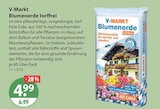 Blumenerde torffrei von V-Markt im aktuellen V-Markt Prospekt für 4,99 €