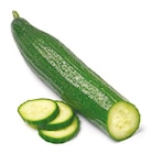 Gurke bei Netto mit dem Scottie im Halle Prospekt für 0,79 €