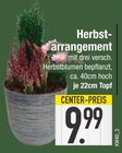 Aktuelles Herbstarrangement Angebot bei E center in Regensburg ab 9,99 €