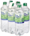 Mineralwasser im Angebot bei REWE in St. Ingbert Mineralwasser Angebote von Berg Quellen bei REWE St. Ingbert für 2,70 €