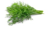 Aktuelles Dill Angebot bei REWE in Paderborn ab 0,79 €