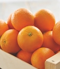 Promo Orange à jus et/ou à dessert à 3,29 € dans le catalogue Intermarché à Saint-Georges-Nigremont