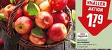 Rote Tafeläpfel Angebote von REWE Regional bei REWE Mülheim für 1,79 €