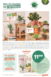 Orchidée Angebote im Prospekt "Mordus de bons plans" von Jardiland auf Seite 7