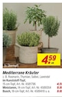 Mediterrane Kräuter bei toom Baumarkt im Nordhausen Prospekt für 4,59 €