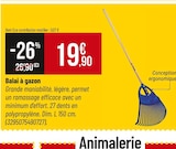 Bricorama Jeuxey - Promo Balai à gazon Promo Balai à gazon à 19,90 € dans le catalogue Bricorama à Jeuxey
