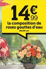 Centrakor - La composition de roses gouttes d’eau : offre du catalogue Promo La composition de roses gouttes d’eau à 14,99 € dans le catalogue Centrakor "TOUSSAINT"