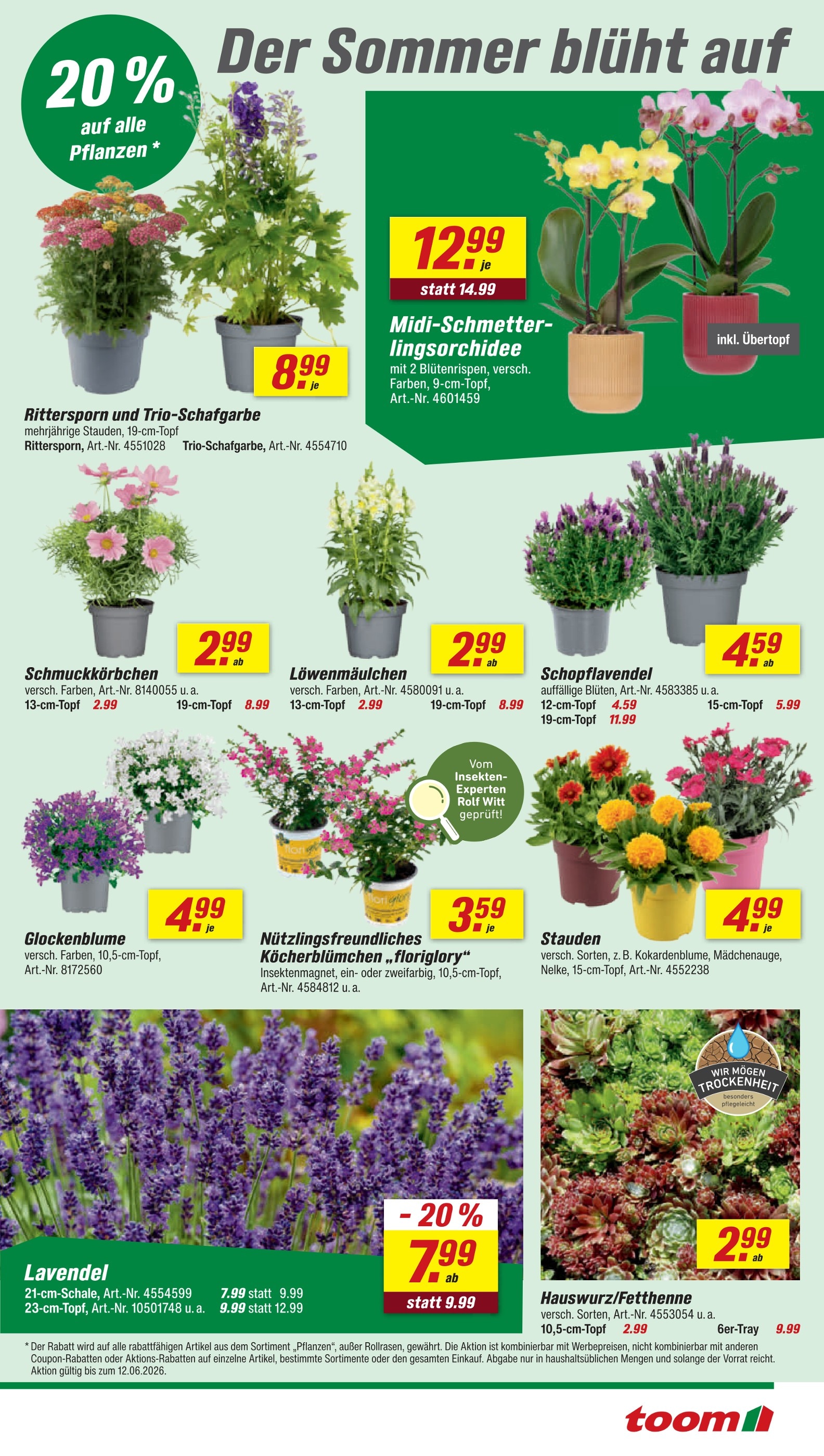 knstliche orchideen im topf wei Knstliche Orchideenpflanzen, knstliche Orchideen im Topf, Phalaenops   Elegantly You