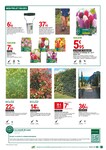 Outils De Jardin Outils De Jardin