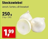 Steckzwiebel Angebote bei Thomas Philipps Herten für 1,99 €