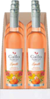 Vineyards Spritz von Gallo Family im aktuellen Netto Marken-Discount Prospekt für 27,00 €