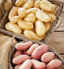 Promo Pommes de terre de consommation à chair ferme à 1,69 € dans le catalogue Intermarché Hyper à Audrix