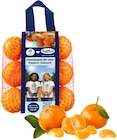 Mandarinen im Angebot bei REWE in Herten Mandarinen Angebote von SanLucar bei REWE Herten für 2,49 €