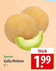 famila Nordost Neustadt - Galia Melone Angebot im Prospekt Galia Melone bei famila Nordost im Neustadt Prospekt für 1,99 €