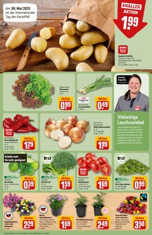 Spargel im REWE Prospekt "Dein Markt" mit 36 Seiten (Lübeck)
