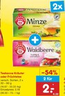 Minze Zitrone im Angebot bei Netto Marken-Discount in Emden Minze Zitrone Angebote von Teekanne bei Netto Marken-Discount Emden für 2,00 €