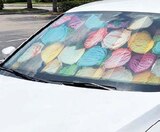 Sonnenschutz Angebote bei Globus-Baumarkt Bonn für 6,99 €