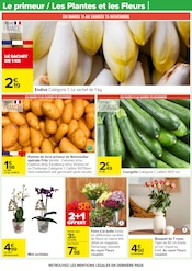 Orchidée Angebote im Prospekt "UN Noël POUR TOUS LES GOÛTS" von Carrefour auf Seite 17