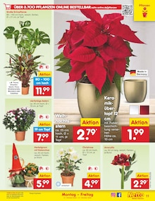 Pflanzen im aktuellen Netto Marken-Discount Prospekt (Mannheim) Pflanzen im Netto Marken-Discount Prospekt "Aktuelle Angebote" mit 65 Seiten (Mannheim)