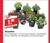 Stauden Angebot in Heiligenstadt Stauden im aktuellen Prospekt bei bauSpezi in Heiligenstadt