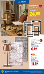 Prix et réduction Tapis dans le prospectus Lidl en cours Offre Tapis dans le catalogue Lidl du moment à la page 58