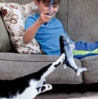 Katzenspielzeug »Flippity Fish« im Kaufland Prospekt Katzenspielzeug »Flippity Fish« von MEDIASHOP im aktuellen Kaufland Prospekt für 9,99 €