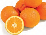 Netto mit dem Scottie Strausberg - Orangen Angebot im Prospekt Orangen bei Netto mit dem Scottie im Strausberg Prospekt für 1,79 €