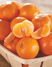 Clémentine dans le catalogue Intermarché