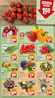 Hortensie im REWE Prospekt "Dein Markt" mit 18 Seiten (Düsseldorf)