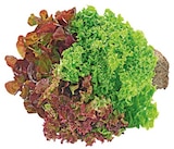 Wurzelsalat Salattrio bei REWE im Lippetal Prospekt für 1,29 €
