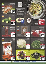 Aktueller EDEKA Prospekt mit Stauden, "Wir lieben Lebensmittel!", Seite 5