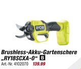Brushless-Akku-Gartenschere „RY18SCXA-0“ B im toom Baumarkt Prospekt Brushless-Akku-Gartenschere „RY18SCXA-0“ B von RYOBI im aktuellen toom Baumarkt Prospekt für 139,99 €