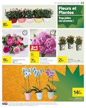 Orchidée Angebote im Prospekt "LE MOIS À VOS MARQUES, PRÊTS, PRÊTS, PARTEZ !" von Carrefour Orchidée Angebote im Prospekt "LE MOIS À VOS MARQUES, PRÊTS, PRÊTS, PARTEZ !" von Carrefour auf Seite 83