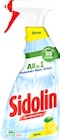 Reiniger Glasreiniger Zitrus von Sidolin im aktuellen Kaufland Prospekt