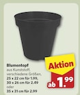 Blumentopf bei combi im Wallenhorst Prospekt für 1,99 €
