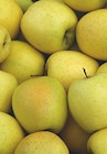 Pomme Golden à 1,49 € dans le catalogue Supeco