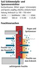 SuS Schimmelpilz- und Sporenvernichter für 51,90 € bei Holz Possling im Angebot SuS Schimmelpilz- und Sporenvernichter im aktuellen Holz Possling Prospekt