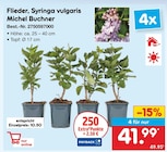 Flieder, Syringa vulgaris Michel Buchner im Netto Marken-Discount Prospekt Flieder, Syringa vulgaris Michel Buchner von im aktuellen Netto Marken-Discount Prospekt fĂŒr 41,99 âŹ