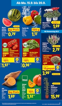 Tomaten im Lidl Prospekt "LIDL LOHNT SICH" mit 68 Seiten (Karlsruhe)