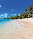 Lidl - Barbados Angebot im Prospekt Barbados bei Lidl im Prospekt "" für 1.999,00 €
