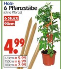 Holz-Pflanzstäbe Angebote bei Wreesmann Bremerhaven für 4,99 €