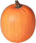 Halloween Kürbis für 4,49 € bei REWE im Angebot Halloween Kürbis im aktuellen REWE Prospekt