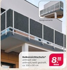 Balkonsichtschutz im aktuellen Netto mit dem Scottie Prospekt