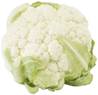 Blumenkohl bei EDEKA im Salem Prospekt für 2,22 €