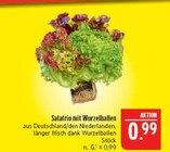 Salatrio mit Wurzelballen Angebote bei Marktkauf Bautzen für 0,99 €