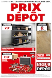 Barbecue en promo dans le catalogue Brico Dépôt à la page 1